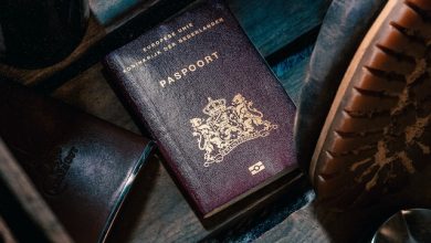 الدول العربية التي تمنح الجنسيات للمولود