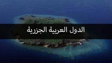 الدول العربية الجزرية