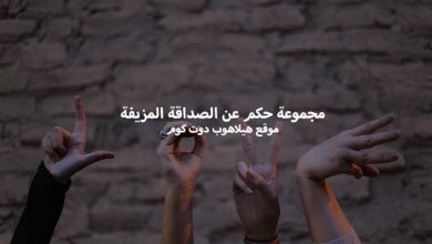 حكم عن الصداقة المزيفة