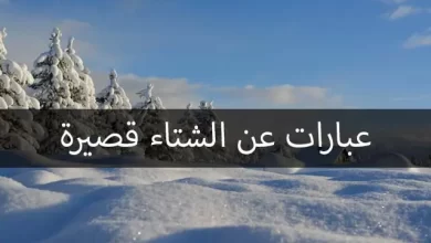 عبارات عن الشتاء قصيرة