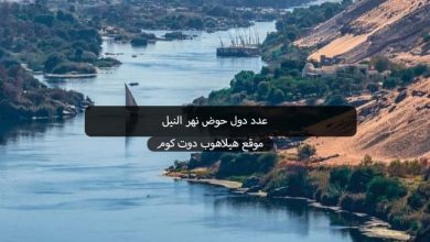 عدد دول حوض نهر النيل