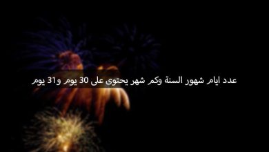 عدد شهور السنة الميلادية التي تحتوي على 30 يوم