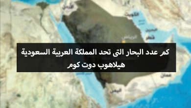 كم عدد البحار التى تحد السعودية