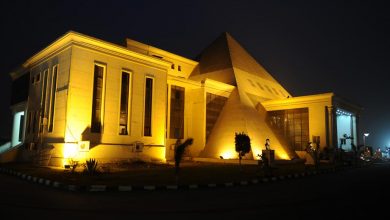 مصاريف جامعة النهضة